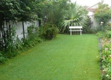 Kwikfynd Lawn and Turf
austral