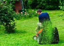 Kwikfynd Lawn Mowing
austral